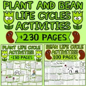 Spring Plant & Bean Life Cycle Activities | Printable & Digital Science Bundle
